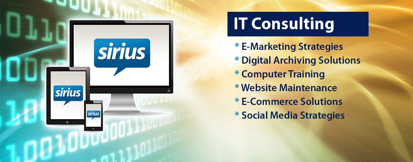 I.T. Consulting